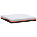 vidaXL Mattresses White and Grey 200 x 200 cm