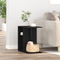 vidaXL Side Table - Black Oak, 50x30x50 cm, Engineered Wood