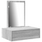 vidaXL Wall Hanging Dressing Table in Grey Sonoma, 60x40x70 cm
