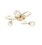 Aherne 3 Ceiling Lamp Antique Brass Lighting Regency Studio 