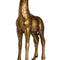 Antique Gold Giraffe Lamp With Burnt Orange Velvet Shade Lighting Hill Interiors 