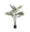 Areca Palm Tree Small Accessories Regency Studio 