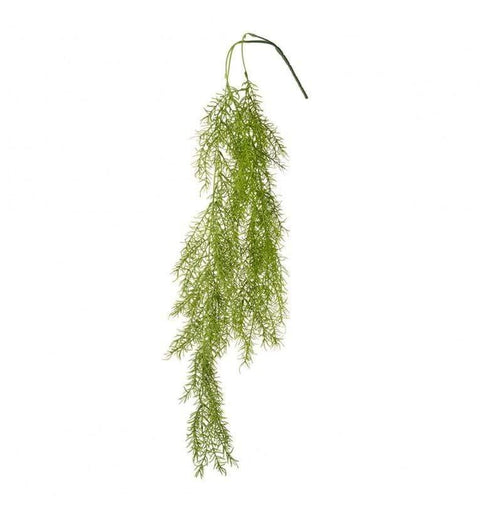 Asparagus Fern Hanging Green (12pk) Accessories Regency Studio 