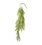 Asparagus Fern Hanging Green (12pk) Accessories Regency Studio 