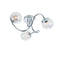 Auria 3 Ceiling Light Lighting Regency Studio 