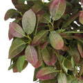 Autumn Beech Spray Accessories Hill Interiors 