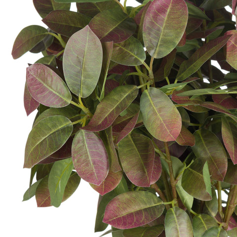 Autumn Beech Spray Accessories Hill Interiors 