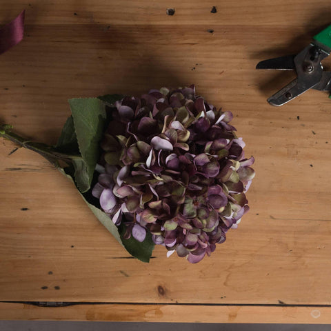 Autumn Burgundy Hydrangea Accessories Hill Interiors 
