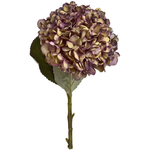 Autumn Burgundy Hydrangea Accessories Hill Interiors 