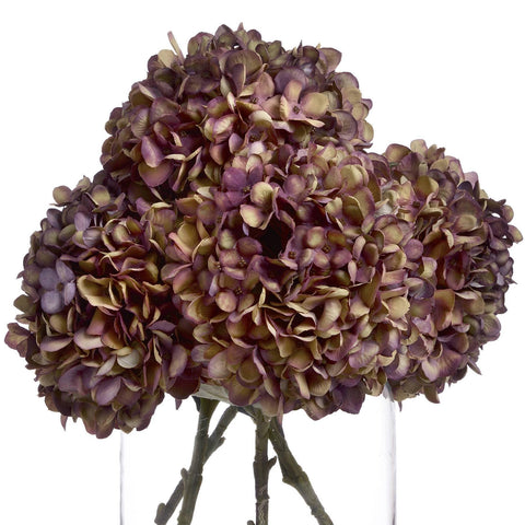 Autumn Burgundy Hydrangea Accessories Hill Interiors 