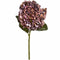 Autumn Coffee Hydrangea Accessories Hill Interiors 