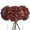 Autumn Coffee Hydrangea Accessories Hill Interiors 
