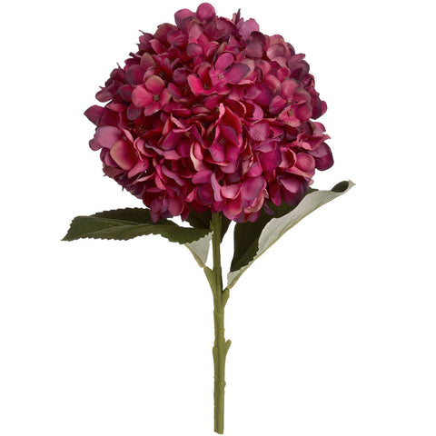 Autumn Ruby Hydrangea Accessories Hill Interiors 