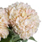 Autumn White Hydrangea Accessories Hill Interiors 