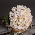 Autumn White Hydrangea Accessories Hill Interiors 