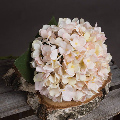 Autumn White Hydrangea Accessories Hill Interiors 