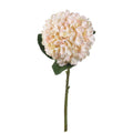 Autumn White Hydrangea Accessories Hill Interiors 