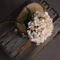 Autumn White Hydrangea Accessories Hill Interiors 
