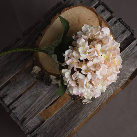 Autumn White Hydrangea Accessories Hill Interiors 