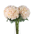 Autumn White Hydrangea Accessories Hill Interiors 