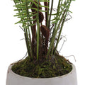 Boston Large Potted Fern Accessories Hill Interiors 