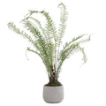 Boston Large Potted Fern Accessories Hill Interiors 