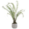 Boston Large Potted Fern Accessories Hill Interiors 