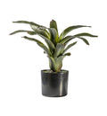 Bromelaid Green with 21 Leaves Accessories Regency Studio 