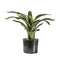 Bromelaid Green with 21 Leaves Accessories Regency Studio 