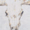 Bull On Cement Board With Frame Accessories Hill Interiors 