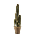 Cactus San Pedro Large Accessories Regency Studio 