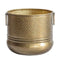 Capulin Planter Small Brass Antique Accessories Regency Studio 