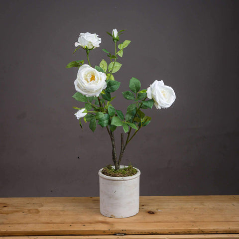Classic White Garden Rose Spray Accessories Hill Interiors 