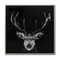 Dark Stag Glass Image with Silver Frame Accessories Hill Interiors 