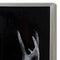 Dark Stag Glass Image with Silver Frame Accessories Hill Interiors 