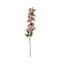 Delphinium Stem Pink (3pk) Accessories Regency Studio 