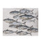Down River Fish Art Canvas Accessories Regency Studio 