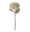 Dried Hydrangea Stem (3pk) Ivory Accessories Regency Studio 