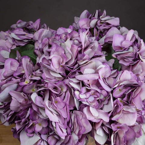 Dusty Pink Hydrangea Accessories Hill Interiors 