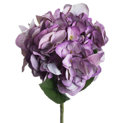 Dusty Pink Hydrangea Accessories Hill Interiors 
