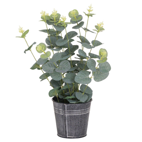 Eucalyptus In Tin Pot Accessories Hill Interiors 