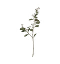 Eucalyptus Leaves Green (3pk) Accessories Regency Studio 