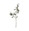 Eucalyptus Leaves Green (3pk) Accessories Regency Studio 