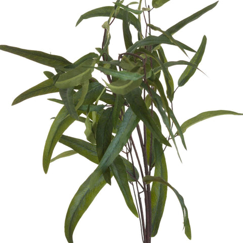 Eucalyptus Nicholii Spray Accessories Hill Interiors 