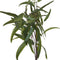 Eucalyptus Nicholii Spray Accessories Hill Interiors 