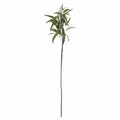 Eucalyptus Nicholii Spray Accessories Hill Interiors 