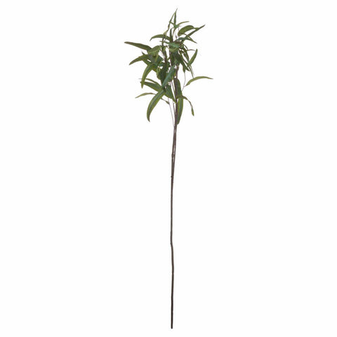 Eucalyptus Nicholii Spray Accessories Hill Interiors 