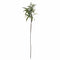 Eucalyptus Nicholii Spray Accessories Hill Interiors 