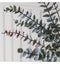 Eucalyptus Spray (6pk) Dusky Grey Accessories Regency Studio 
