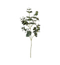 Eucalyptus Spray Green Accessories Regency Studio 